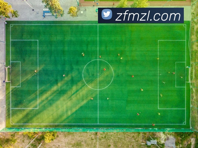 尊龙凯时平台生态图